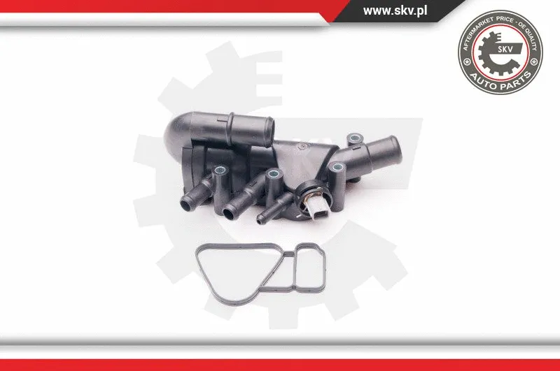 Thermostat, coolant