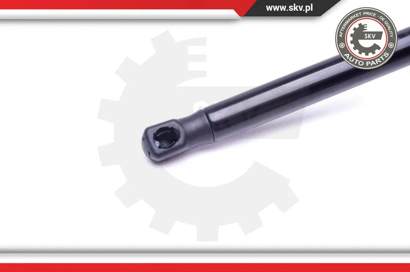 Gas Spring, boot/cargo area