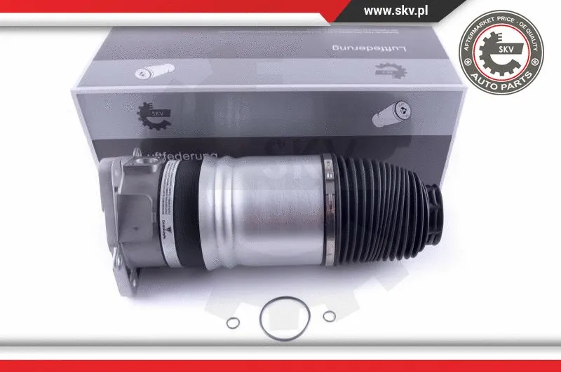 Air Spring, suspension (58SKV046)