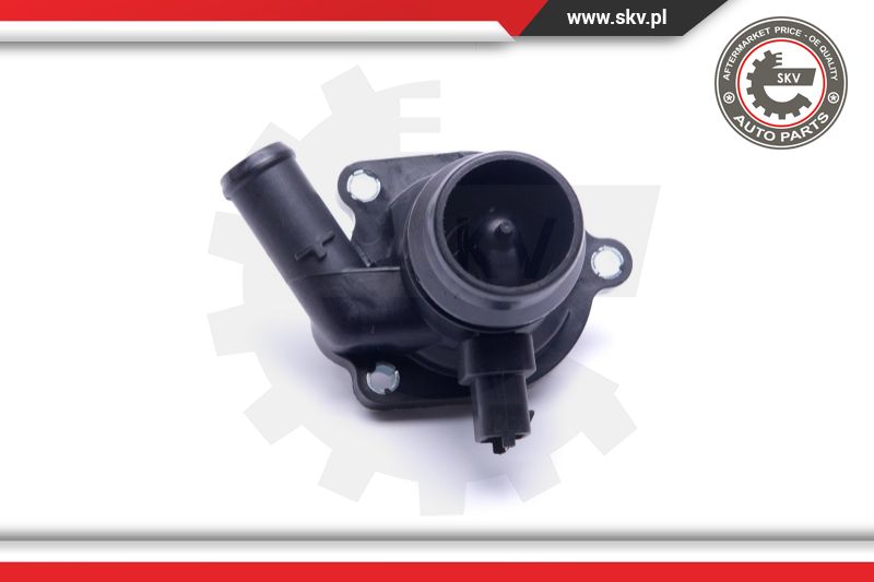 Thermostat, coolant