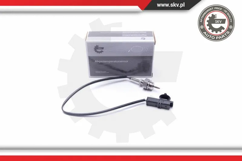 Sensor, exhaust gas temperature (30SKV438)