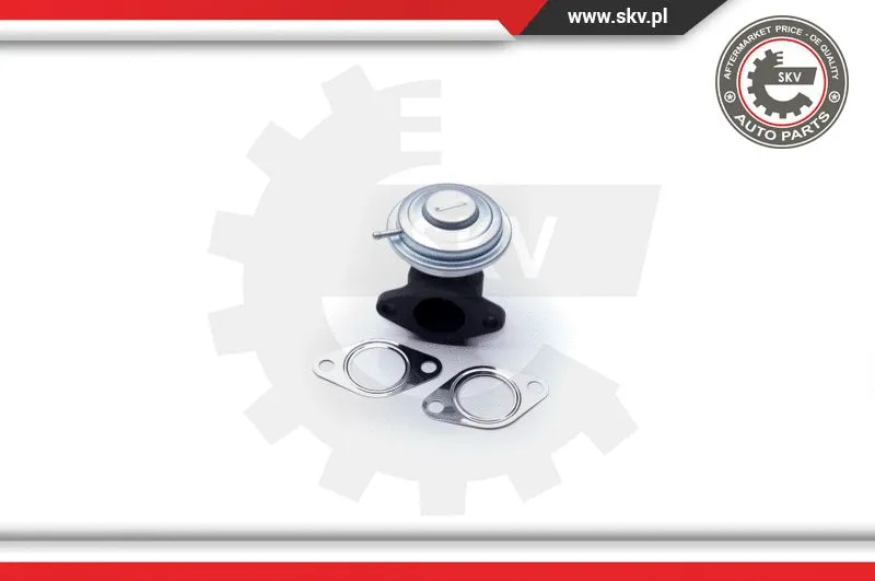 EGR Valve
