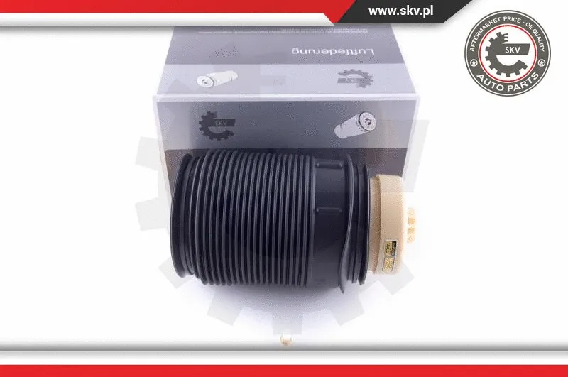 Air Spring, suspension (58SKV012)