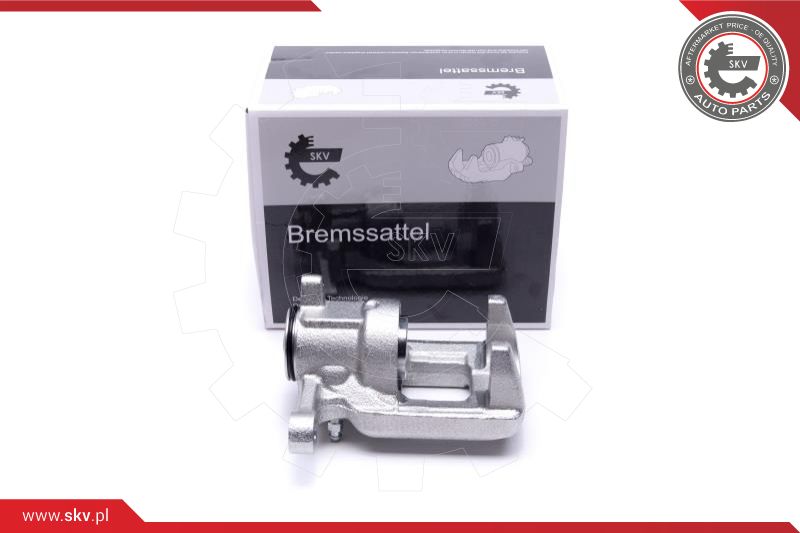 Brake Caliper (44SKV484)