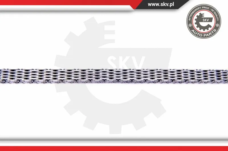 Timing Chain Kit