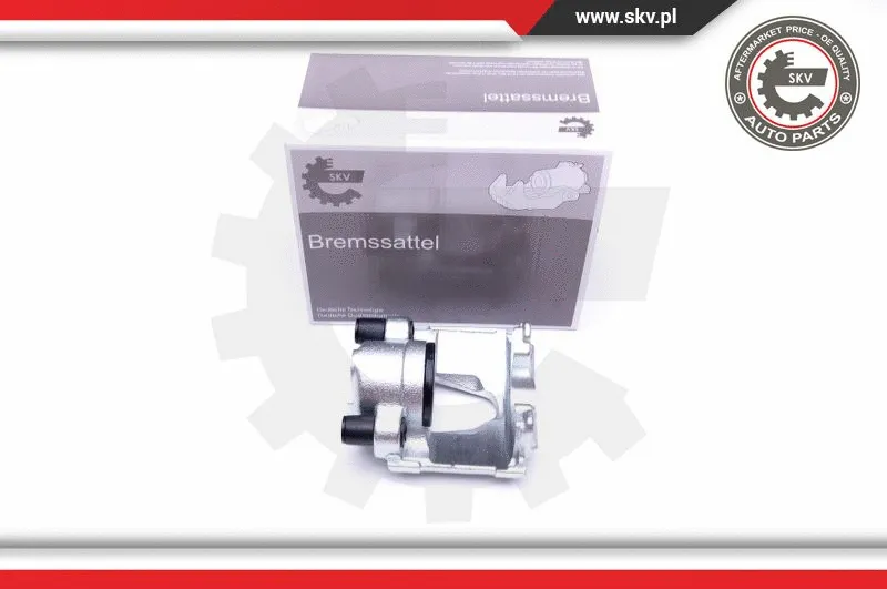 Brake Caliper (42SKV682)