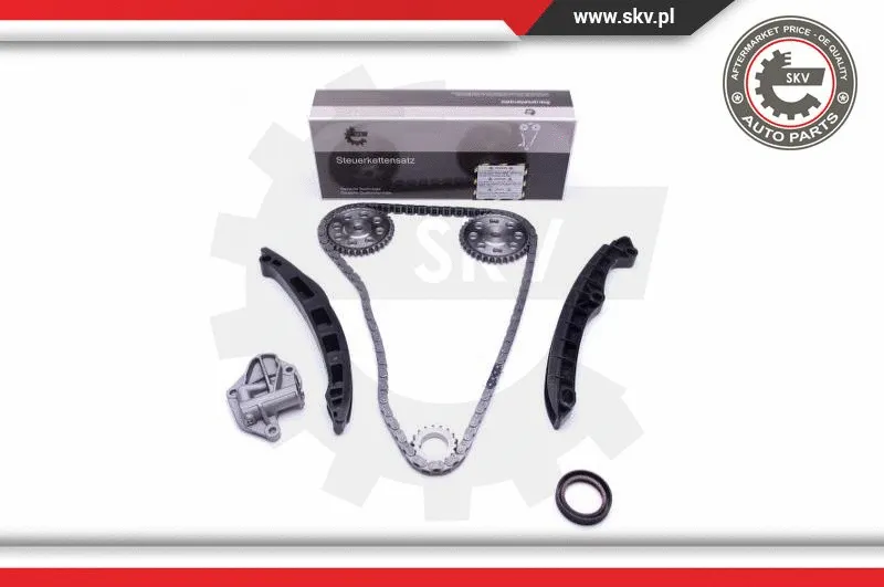 Timing Chain Kit (21SKV147)