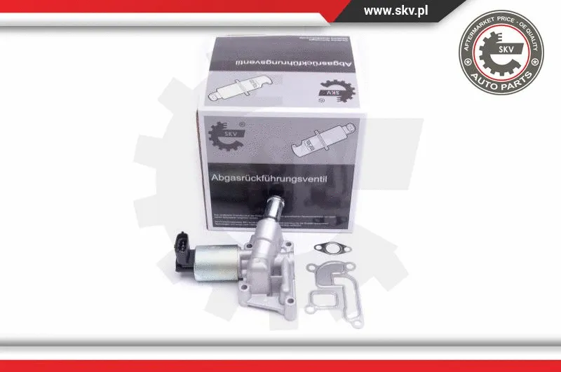 EGR Valve (14SKV207)