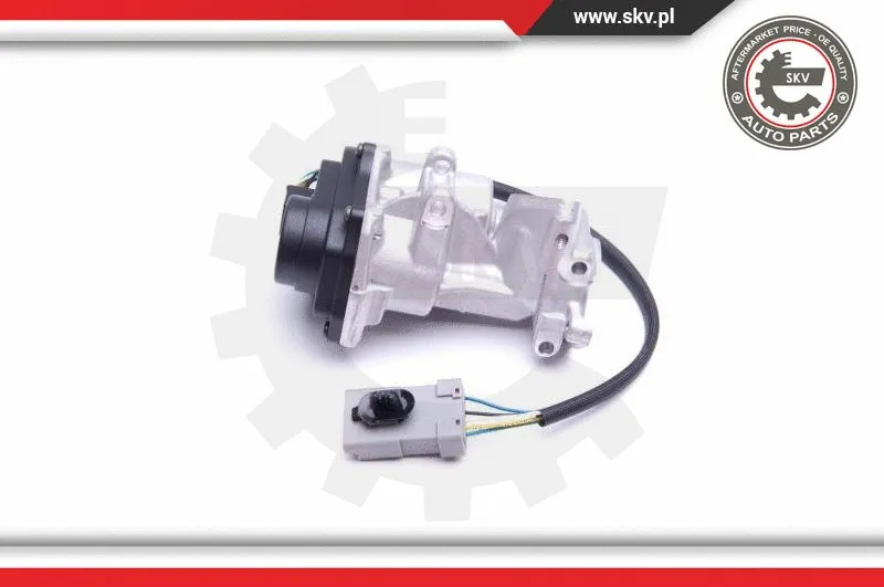 EGR Valve