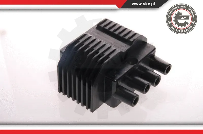 Ignition Coil (03SKV014)