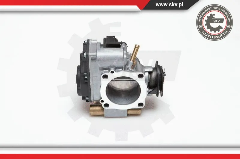 Throttle Body (12SKV005)
