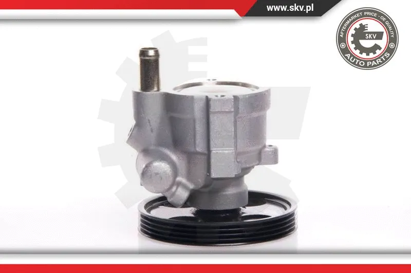 Hydraulic Pump, steering (10SKV146)