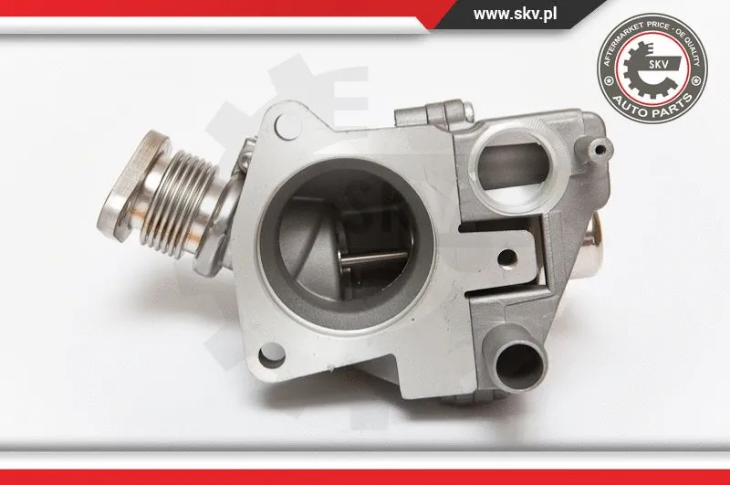 EGR Valve