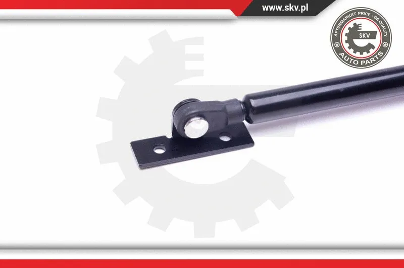 Gas Spring, bonnet