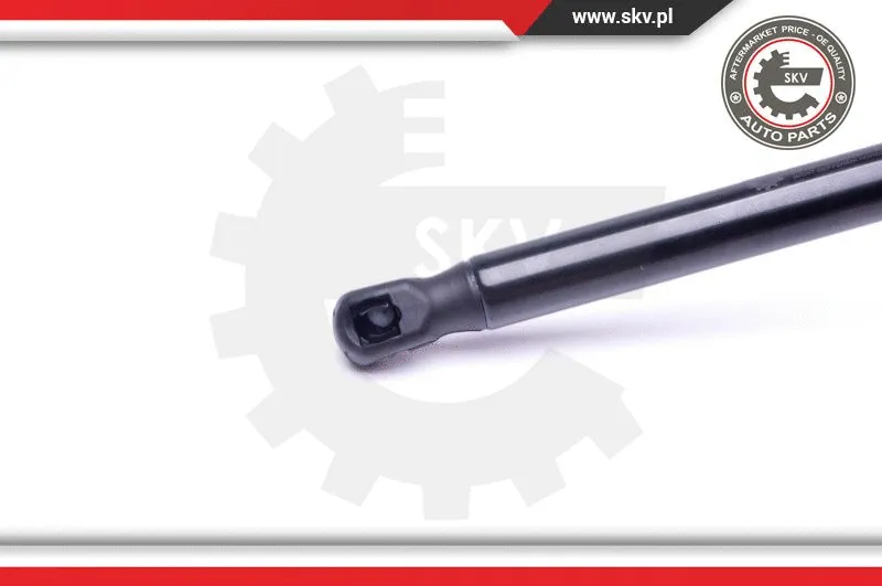 Gas Spring, boot/cargo area
