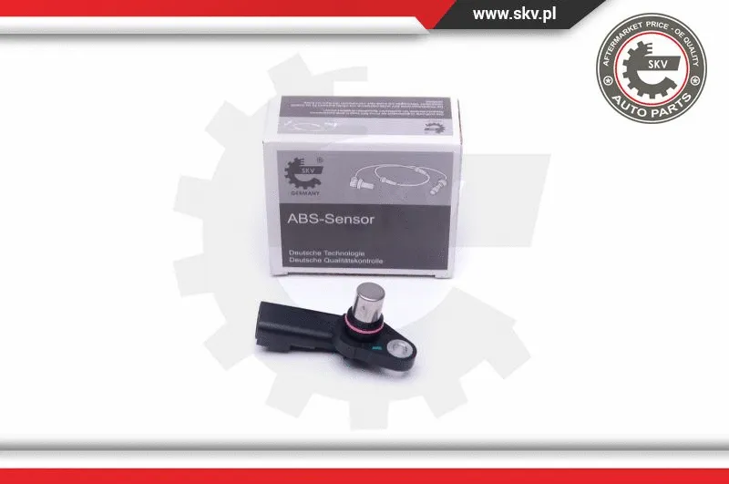 Sensor, camshaft position (17SKV493)