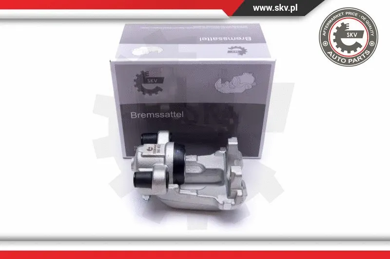 Brake Caliper (55SKV443)