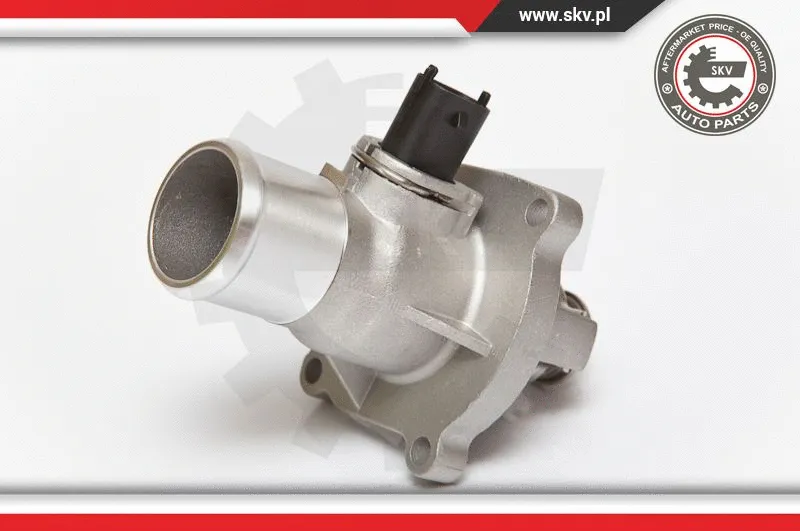Thermostat, coolant