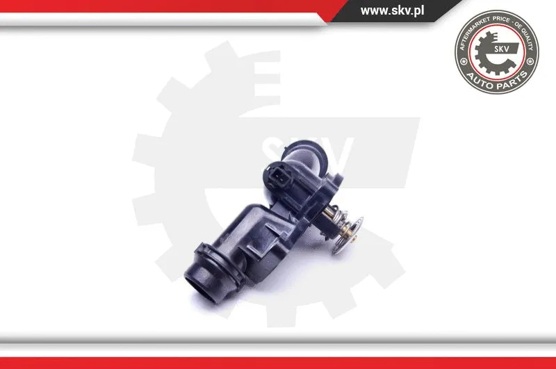 Thermostat, coolant