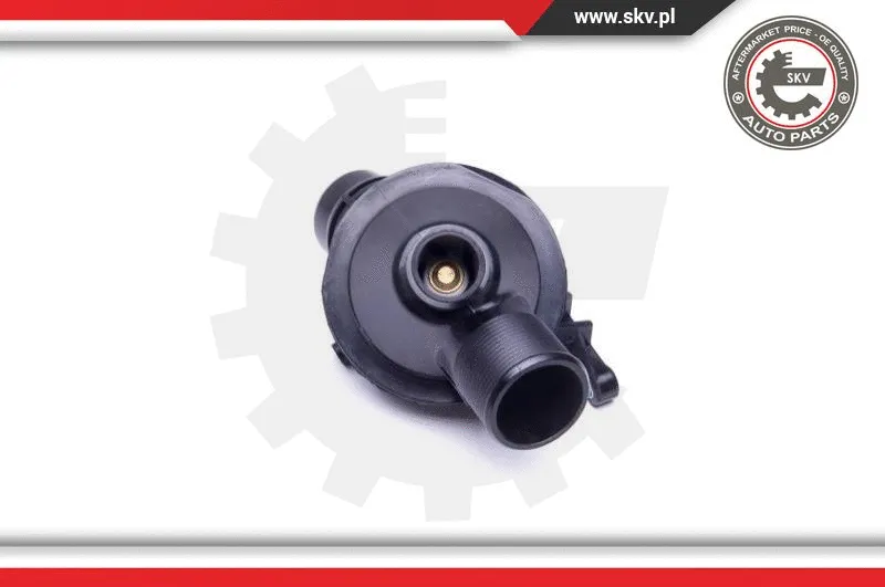 Thermostat, coolant