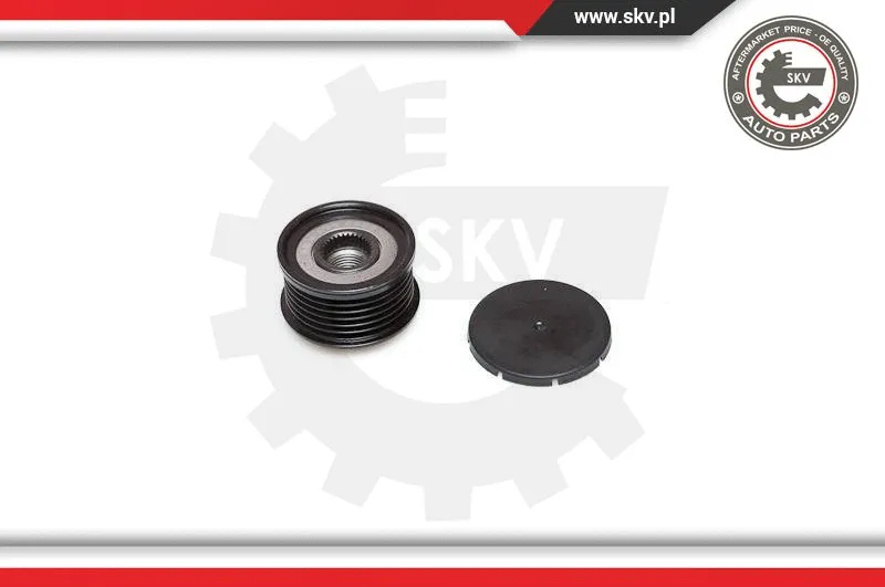 Alternator Freewheel Clutch