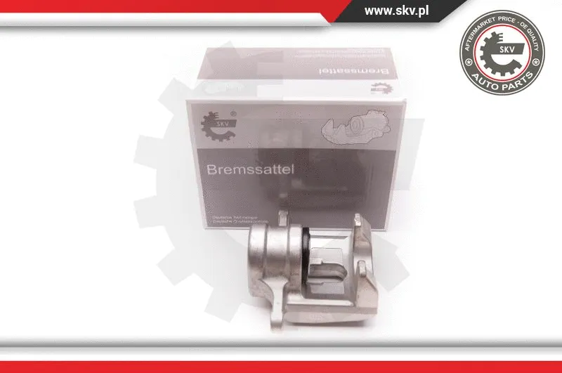 Brake Caliper (34SKV393)