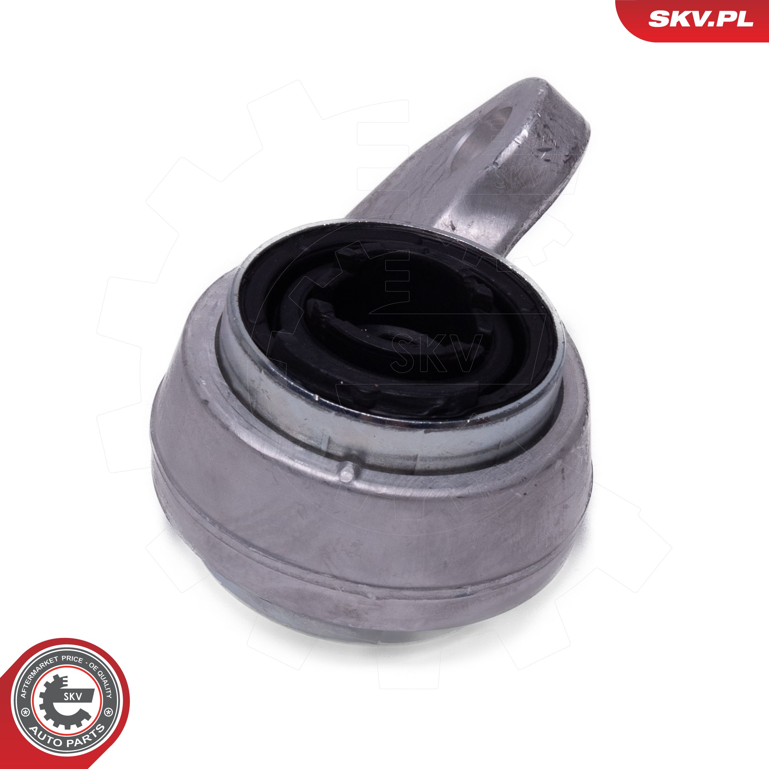 Mounting, control/trailing arm