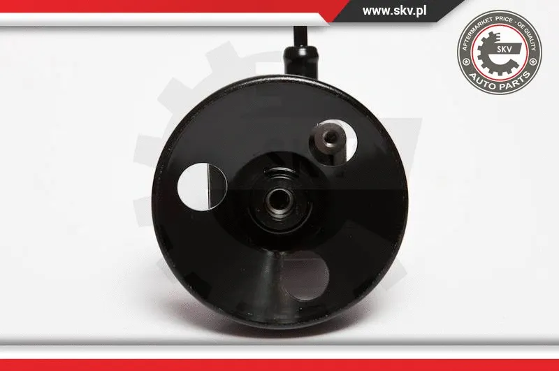 Hydraulic Pump, steering (10SKV010)