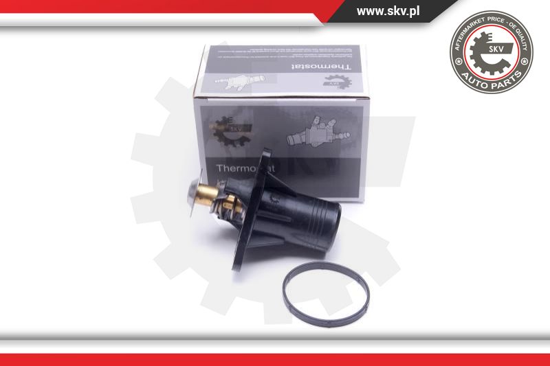 Thermostat, coolant (20SKV193)