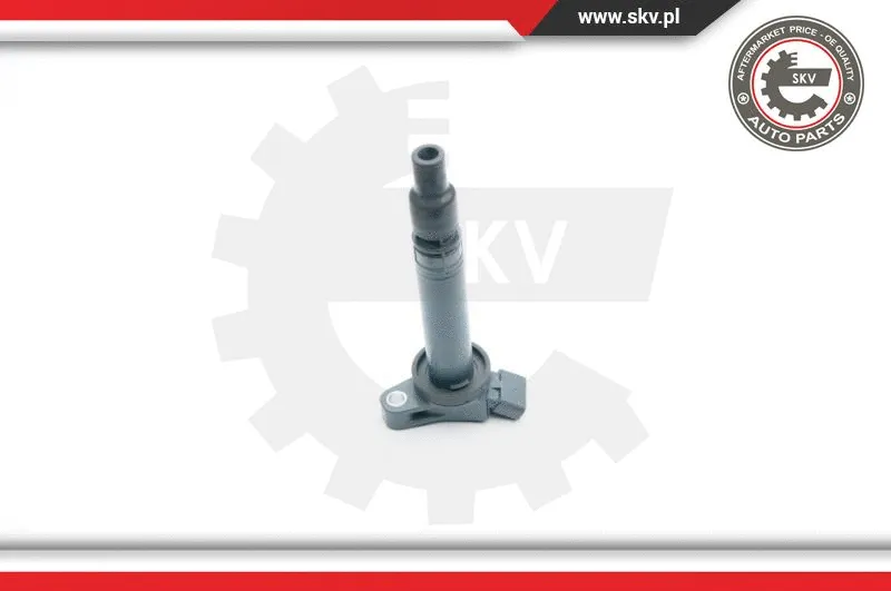 Ignition Coil (03SKV264)