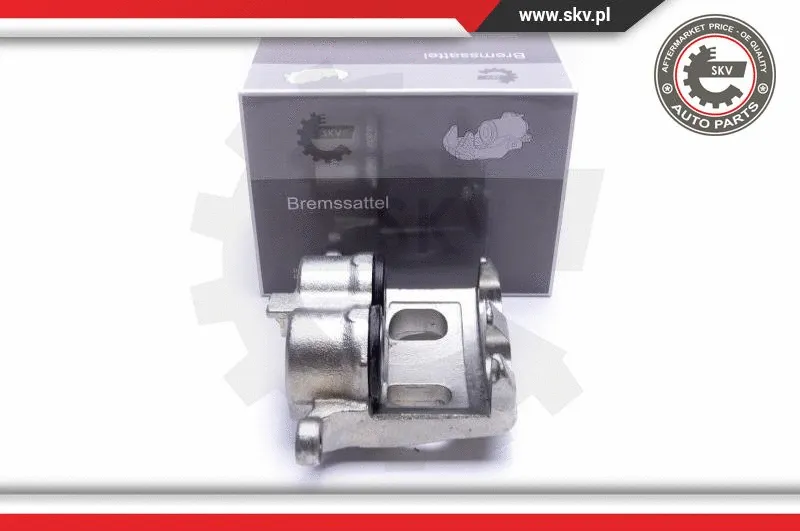 Brake Caliper (55SKV011)