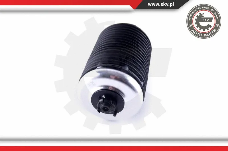 Air Spring, suspension