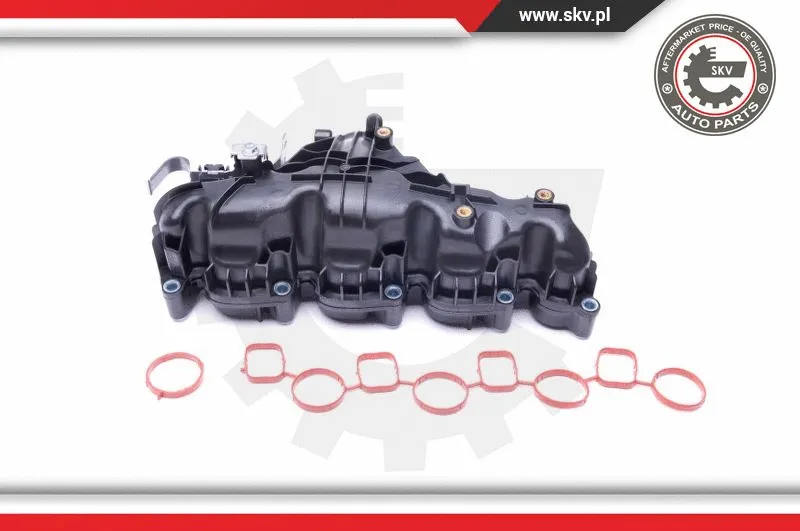 Intake Manifold Module