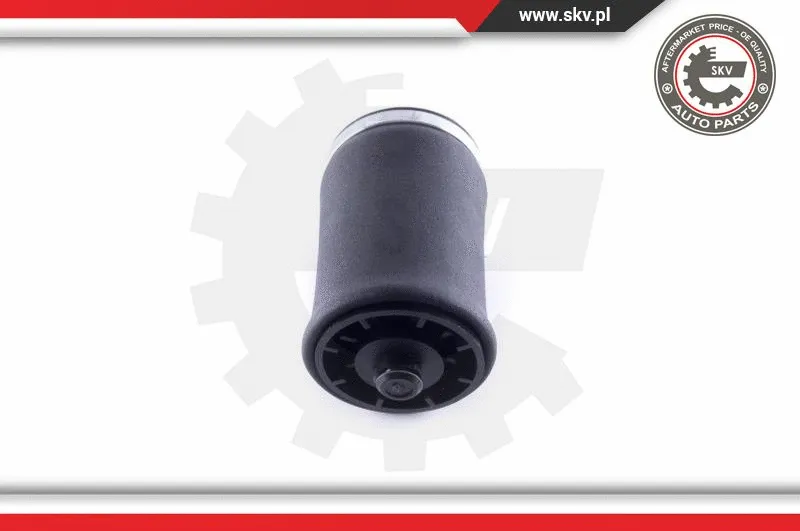 Air Spring, suspension
