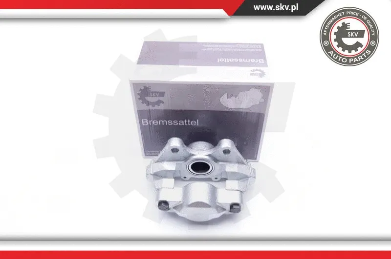Brake Caliper (34SKV903)