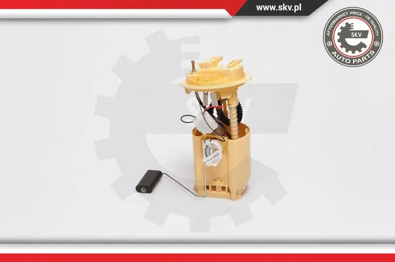 Fuel Feed Unit (02SKV728)