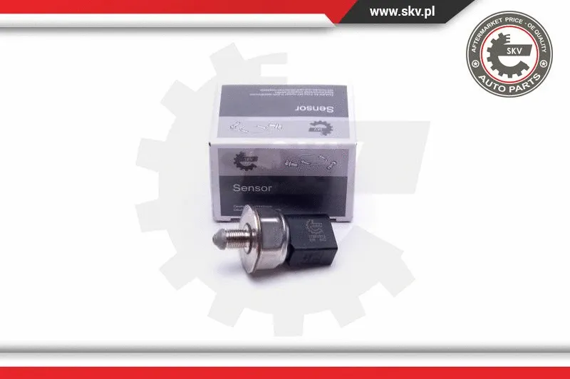 Sensor, fuel pressure (17SKV613)