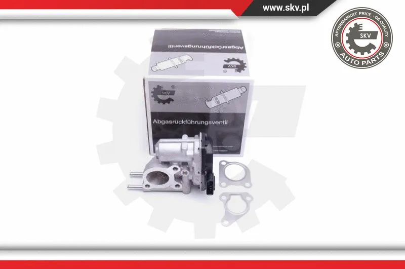 EGR Valve (14SKV215)
