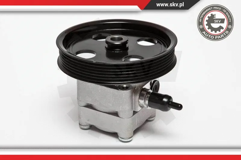Hydraulic Pump, steering (10SKV074)