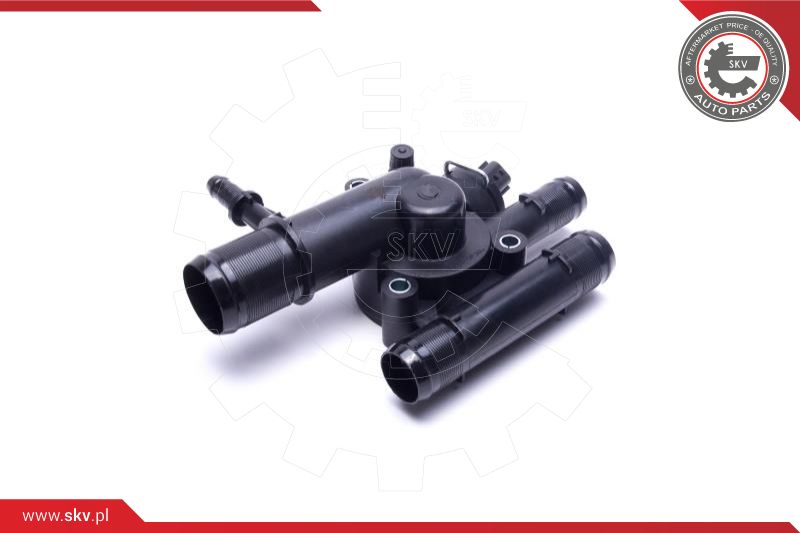 Thermostat, coolant