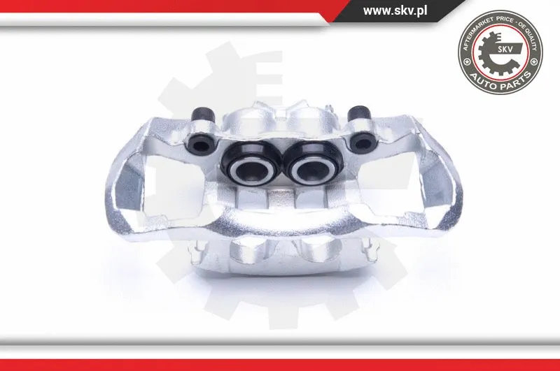 Brake Caliper (44SKV312)