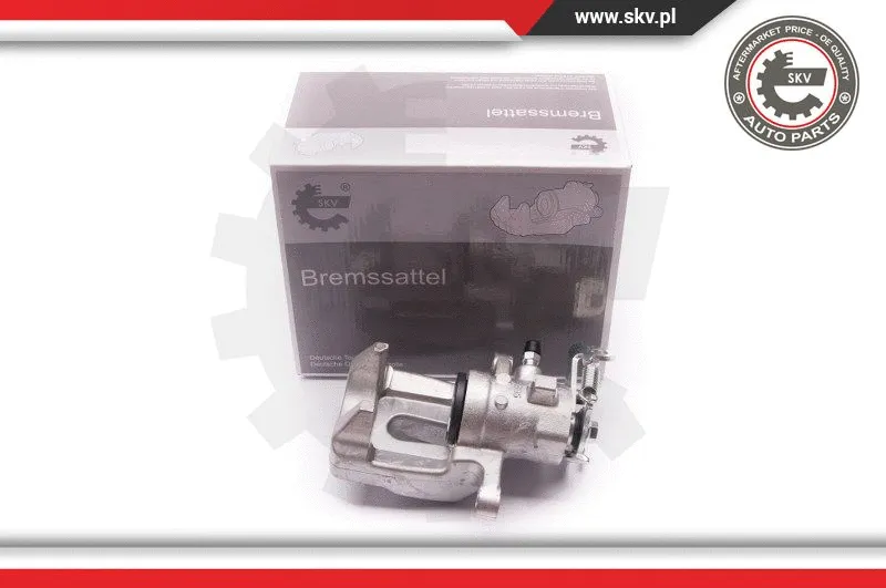 Brake Caliper (23SKV524)