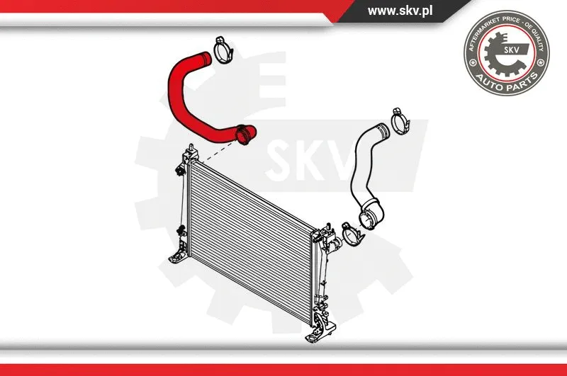 Radiator Hose (24SKV226)