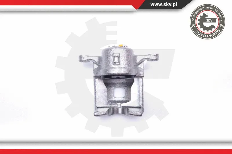 Brake Caliper (42SKV492)