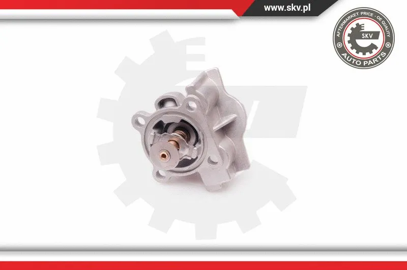 Thermostat, coolant