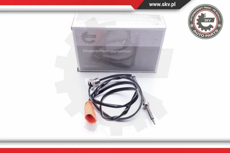 Sensor, exhaust gas temperature (30SKV041)