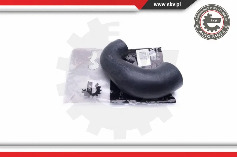 Charge Air Hose (43SKV186)