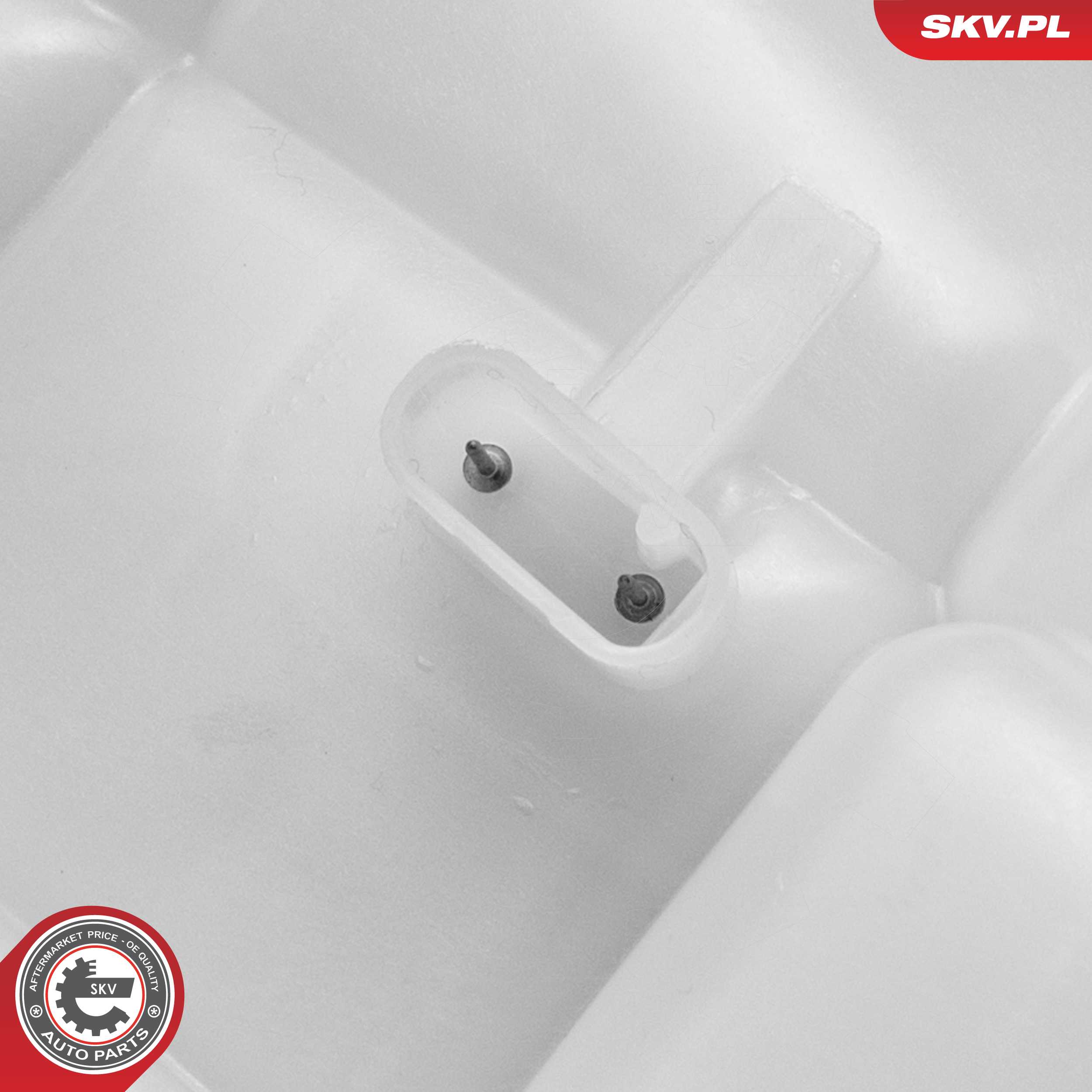 Expansion Tank, coolant