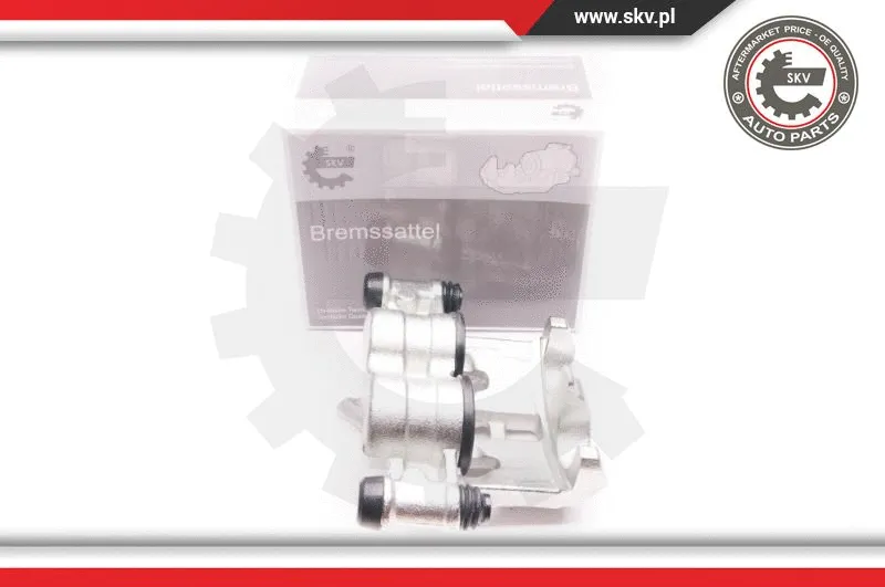 Brake Caliper (23SKV402)