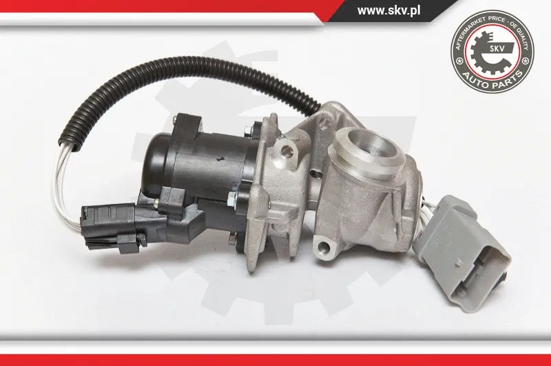 EGR Valve